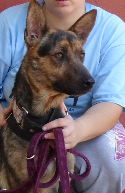 multimedia-foto38146-758-3