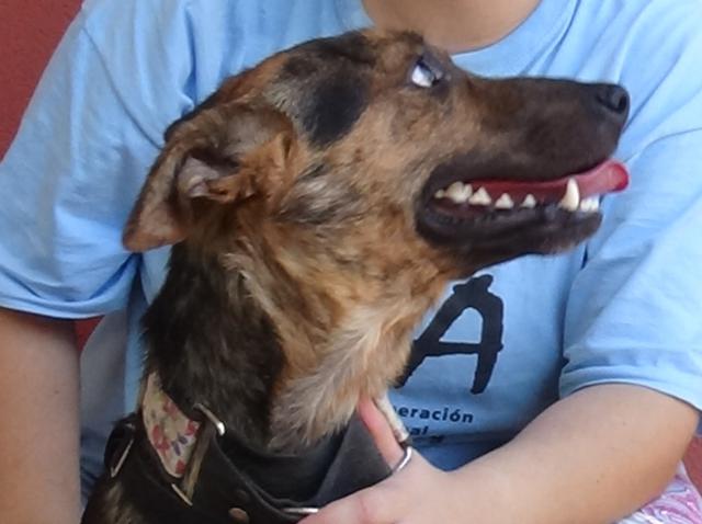 multimedia-foto38147-968-3