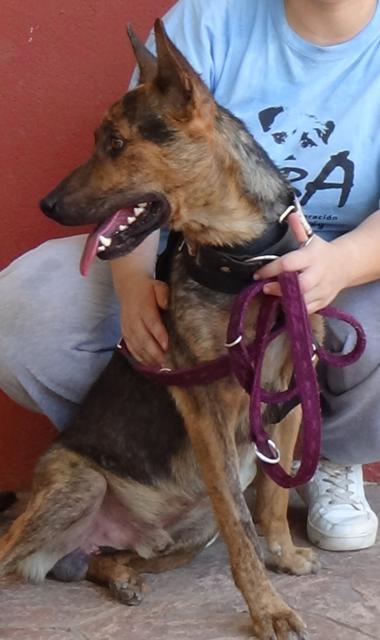 multimedia-foto38148-168-3