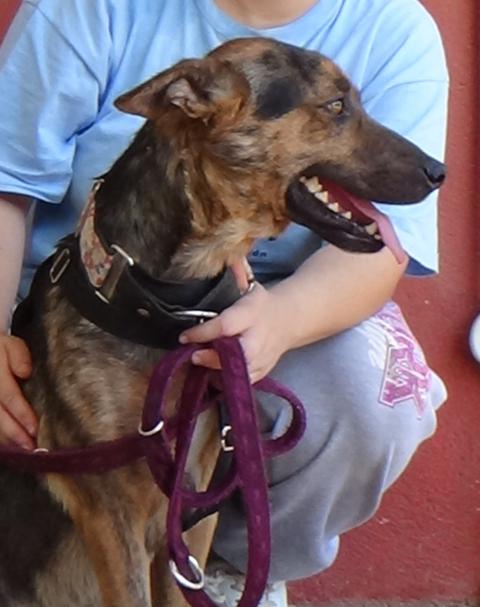 multimedia-foto38149-348-3