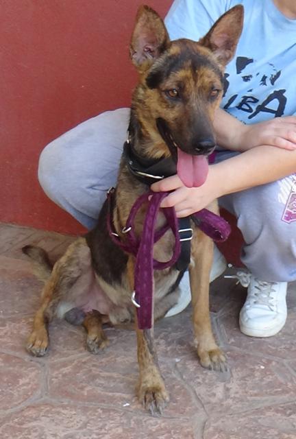 multimedia-foto38151-654-3