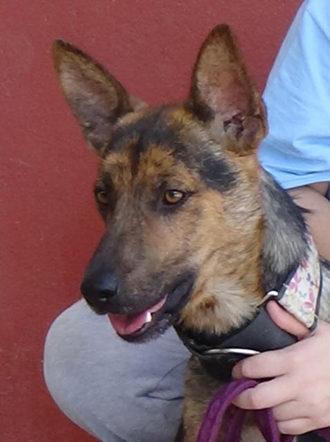 multimedia-foto38152-776-3