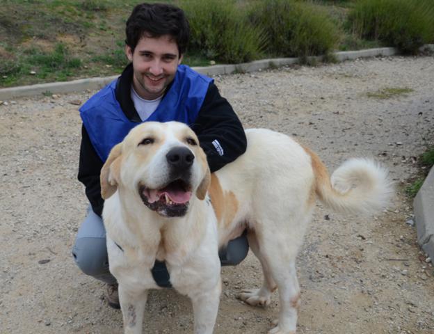 multimedia-foto38154-318-3