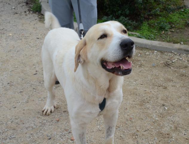 multimedia-foto38155-543-3