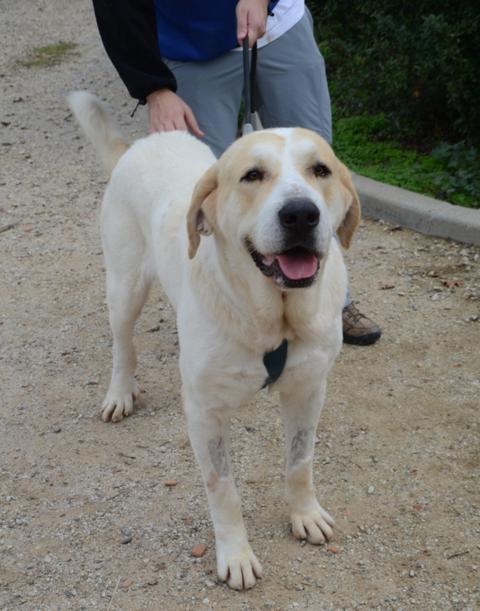 multimedia-foto38156-765-3