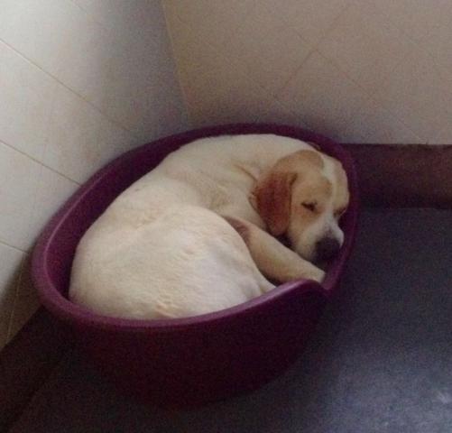 multimedia-foto38157-975-3