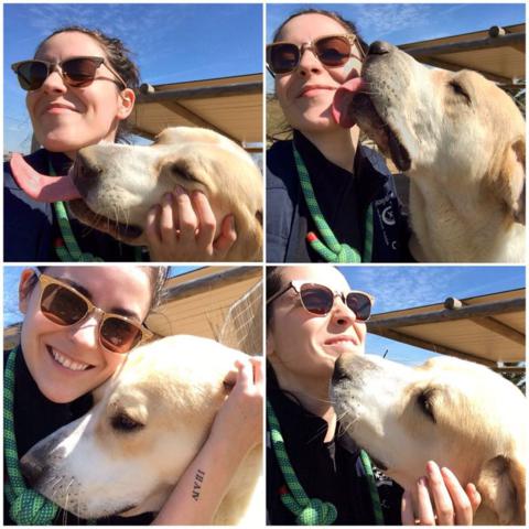 multimedia-foto38158-176-3