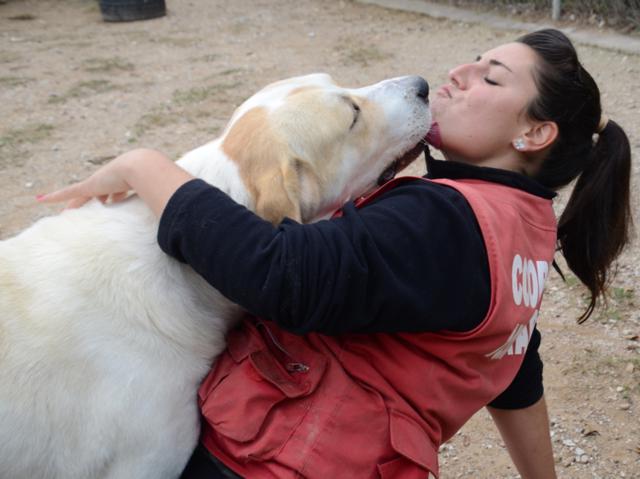 multimedia-foto38159-356-3