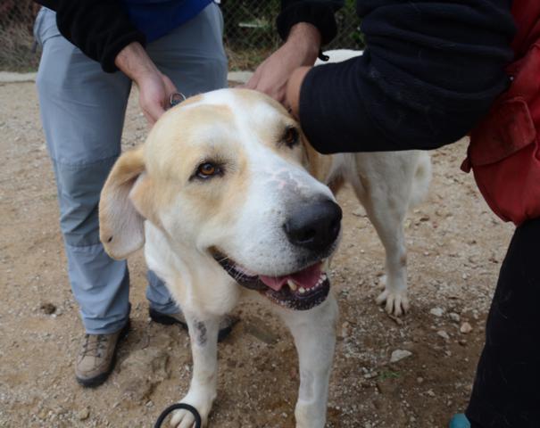 multimedia-foto38160-519-3