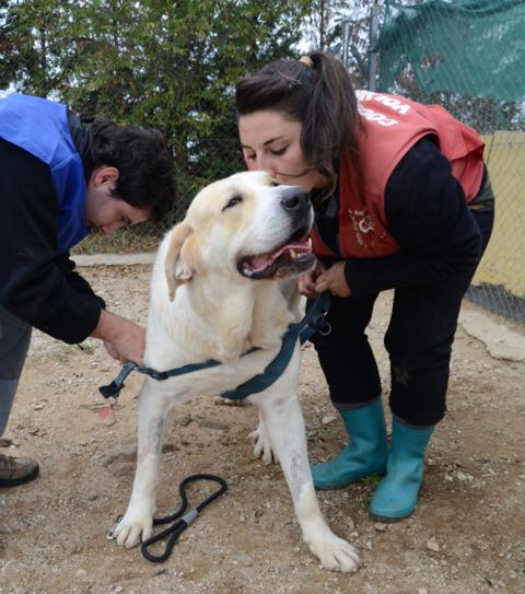 multimedia-foto38161-660-3