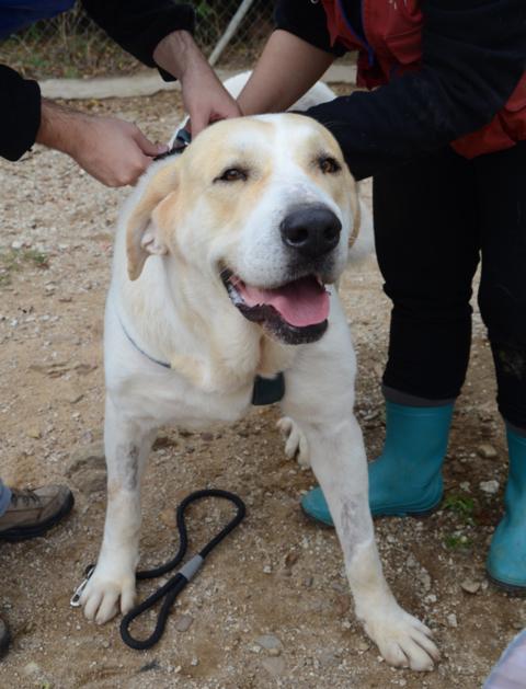 multimedia-foto38162-779-3