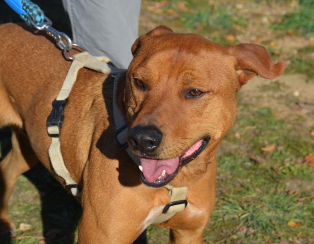 multimedia-foto38172-336-3