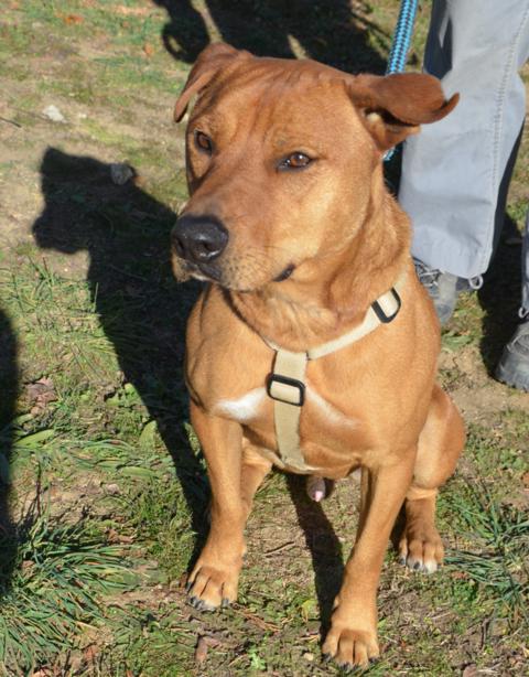 multimedia-foto38173-563-3