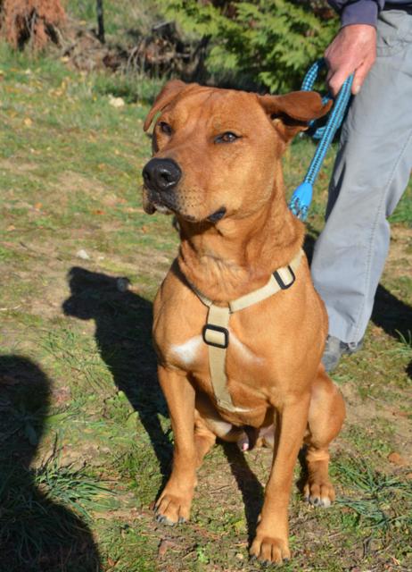 multimedia-foto38174-786-3