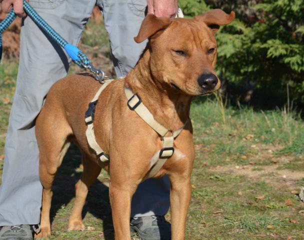 multimedia-foto38175-993-3