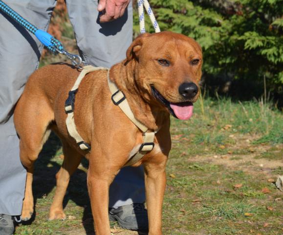 multimedia-foto38176-191-3