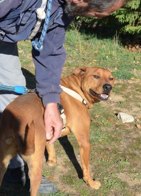 multimedia-foto38177-369-3