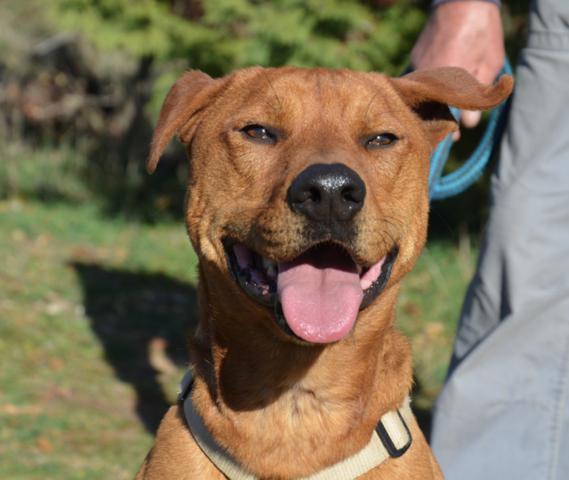 multimedia-foto38178-530-3