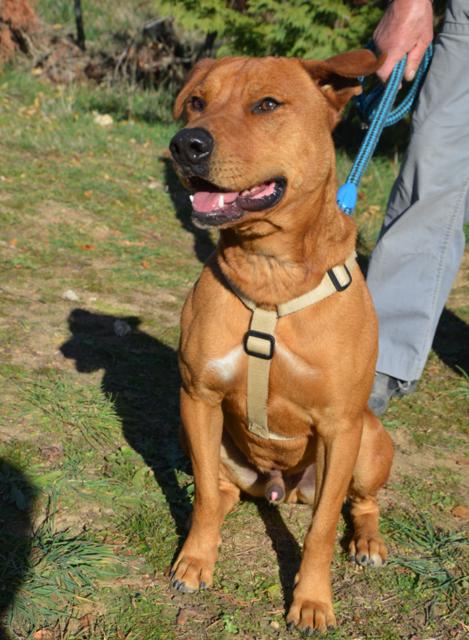 multimedia-foto38179-669-3