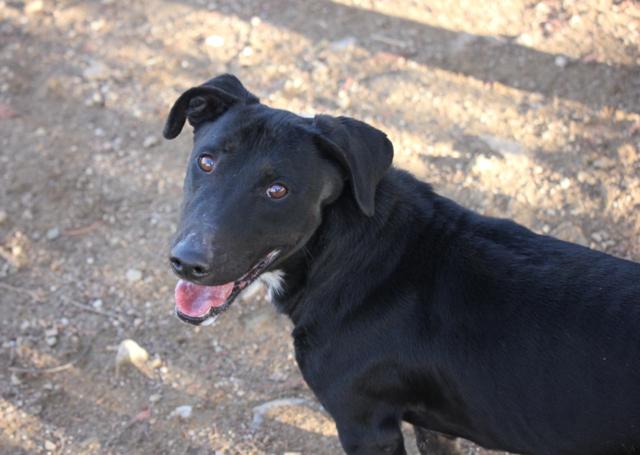 multimedia-foto38182-345-3