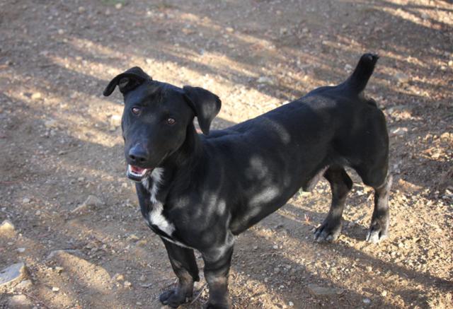 multimedia-foto38183-571-3