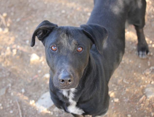 multimedia-foto38184-794-3