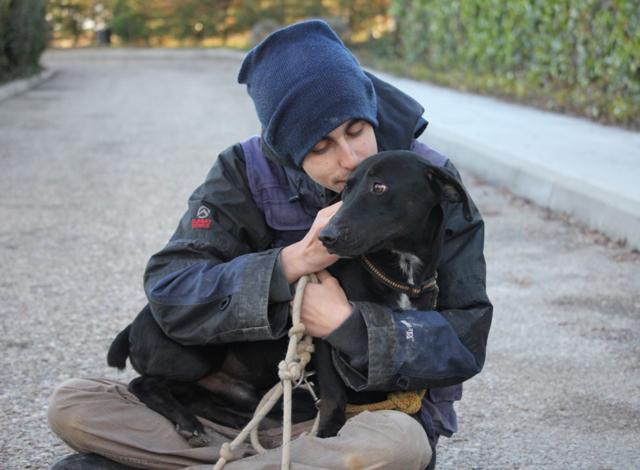 multimedia-foto38186-197-3