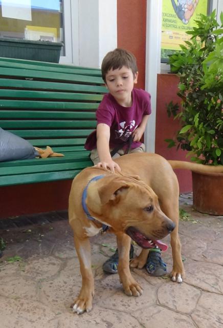 multimedia-foto38253-850-3