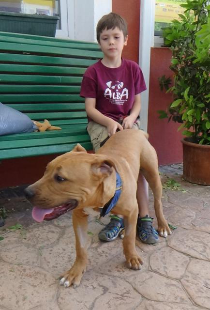 multimedia-foto38254-53-3