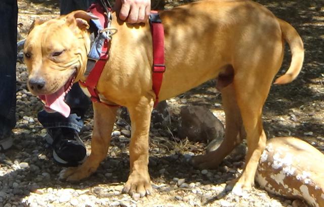 multimedia-foto38255-248-3