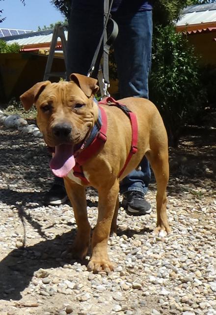 multimedia-foto38256-420-3