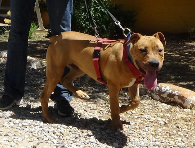 multimedia-foto38257-574-3