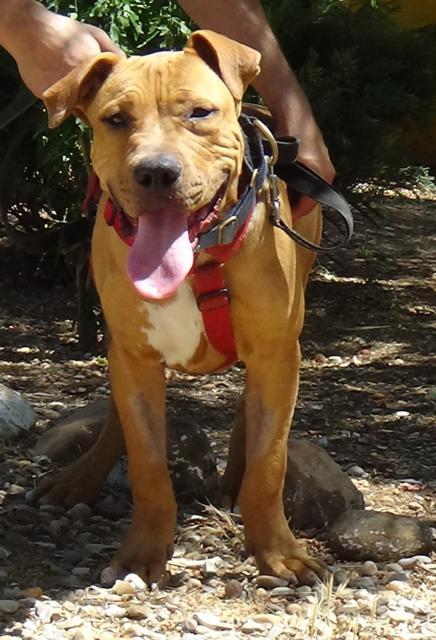 multimedia-foto38259-817-3