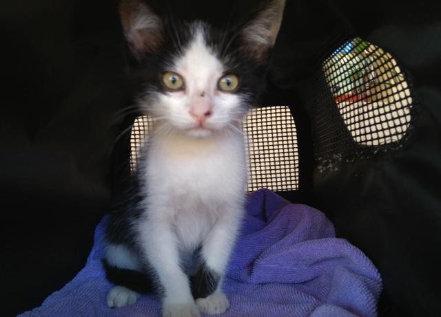 multimedia-foto38275-651-3