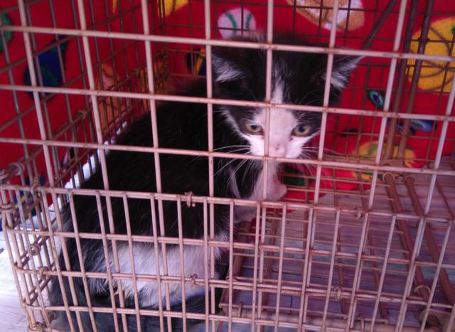 multimedia-foto38277-67-3