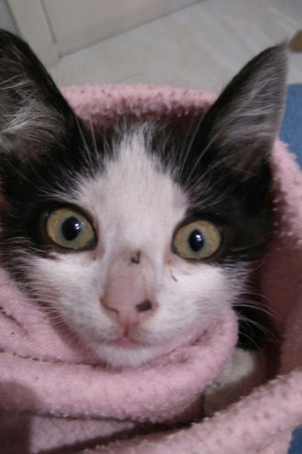 multimedia-foto38278-261-3