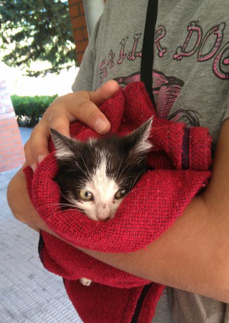 multimedia-foto38279-432-3