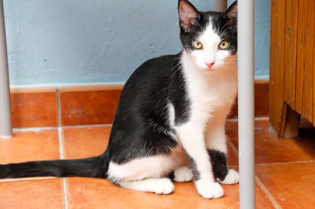 multimedia-foto38281-715-3