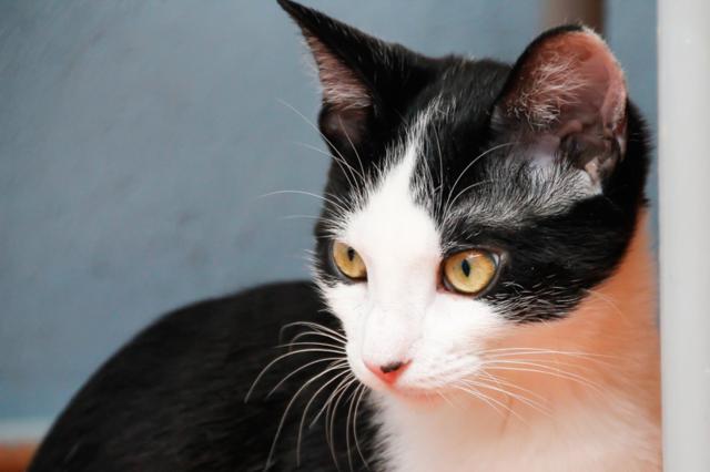 multimedia-foto38282-825-3