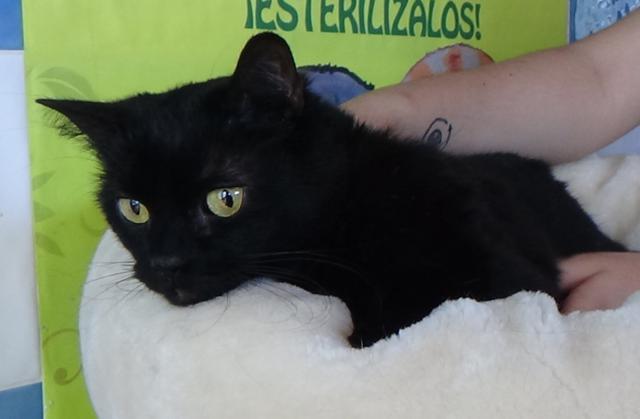 multimedia-foto38284-434-3