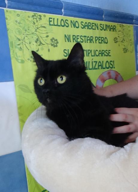 multimedia-foto38285-659-3