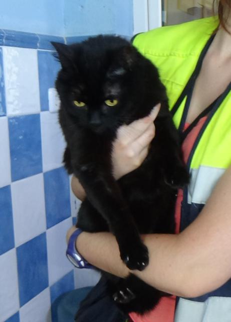 multimedia-foto38286-873-3