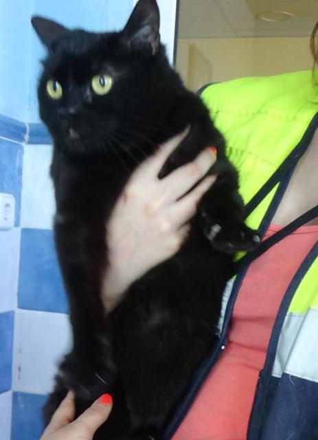 multimedia-foto38287-75-3