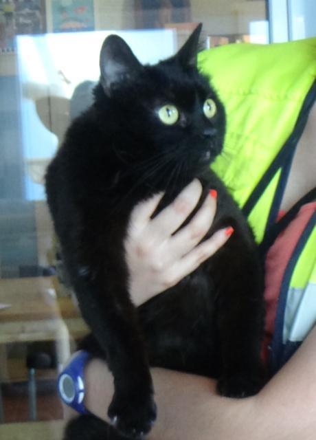 multimedia-foto38288-269-3