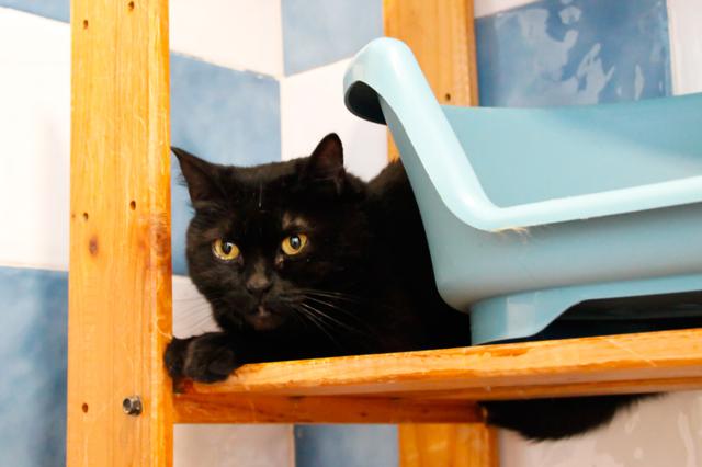 multimedia-foto38290-591-3