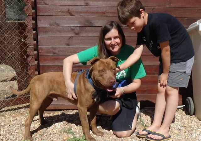 multimedia-foto38292-441-3