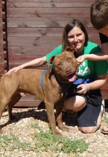 multimedia-foto38293-666-3