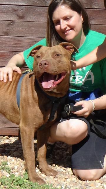 multimedia-foto38294-880-3