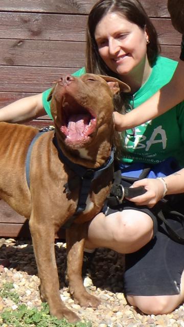 multimedia-foto38295-81-3