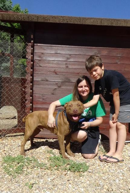 multimedia-foto38296-274-3